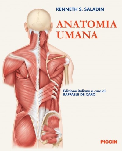 Anatomia umana